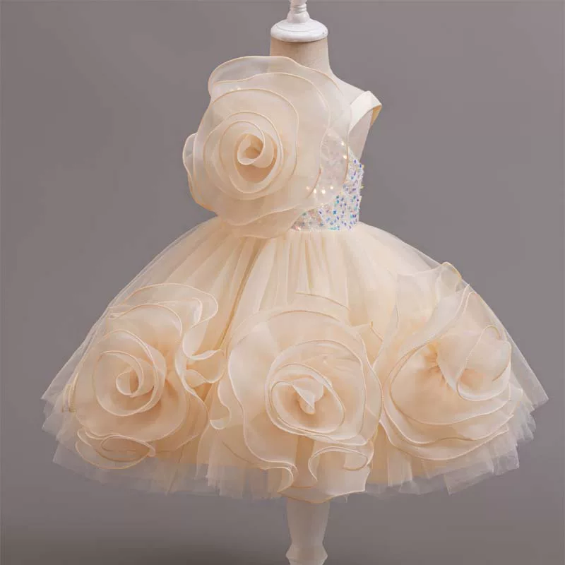 Girls Flower Fairy Princess Dress - Birthday Party