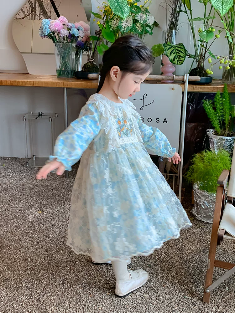 Girls Autumn Princess Dress