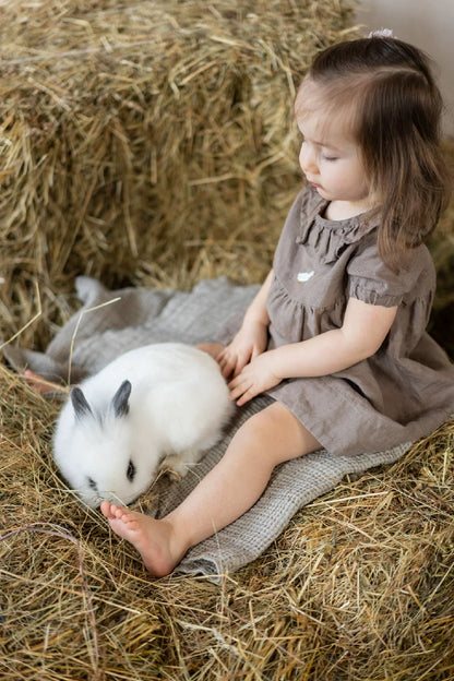 Girls Nordic Linen Dress with Ruffle Collar - Alice Embroidery Short Sleeve
