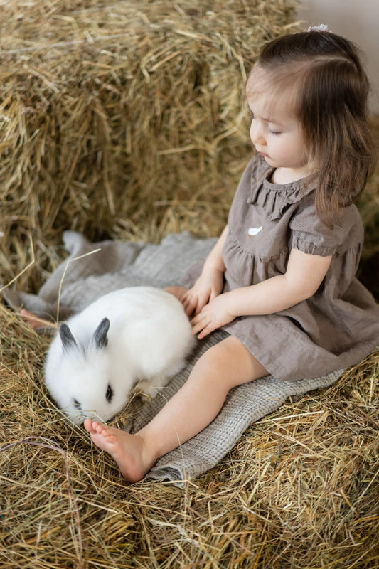 Girls Nordic Linen Dress with Ruffle Collar - Alice Embroidery Short Sleeve