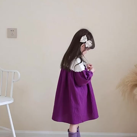 Girls Long Sleeve Princess Dress - Autumn