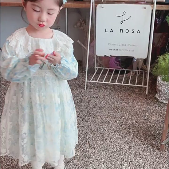 Girls Autumn Princess Dress