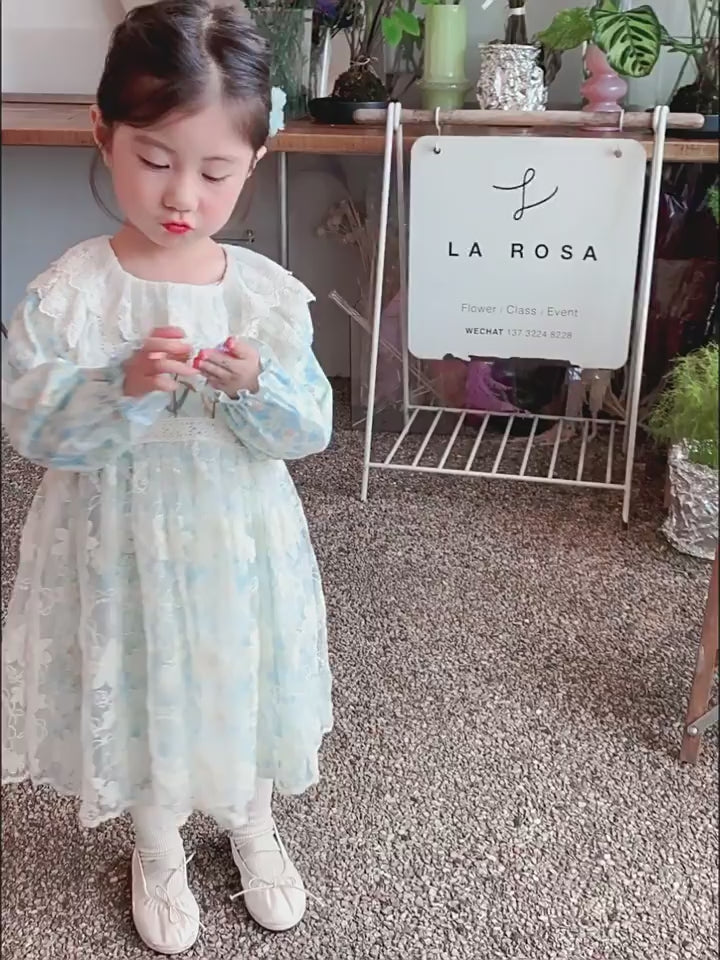 Girls Autumn Princess Dress